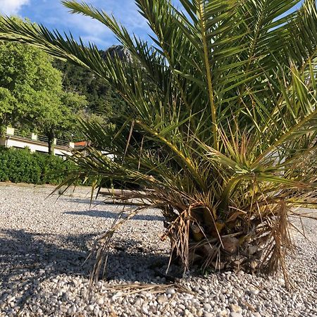 Villa Sabine Apartment Losinj เมดเวยา ภายนอก รูปภาพ